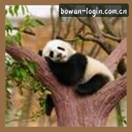 李萌